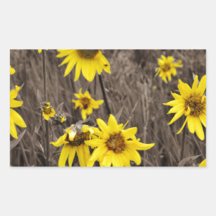 Sunflower in the Rocky Mountain Rectangular Sticker