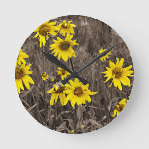 Sunflower in the Rocky Mountain Round Clock