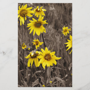 Sunflower in the Rocky Mountain Stationery