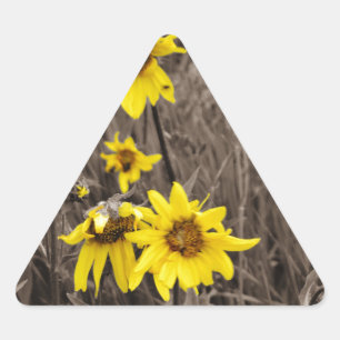Sunflower in the Rocky Mountain Triangle Sticker