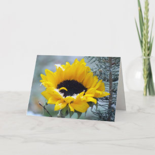 Sunflower in the Snow Get Well Card