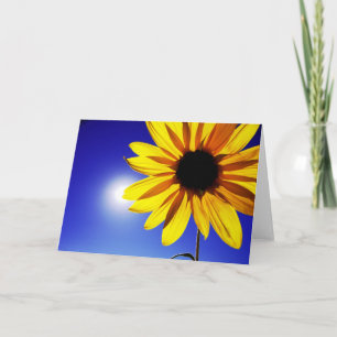 Sunflower in the Sun Greeting Card