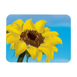 Sunflower in the Sunshine Magnet