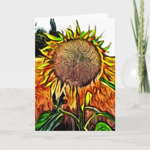 Sunflower in wheat field card