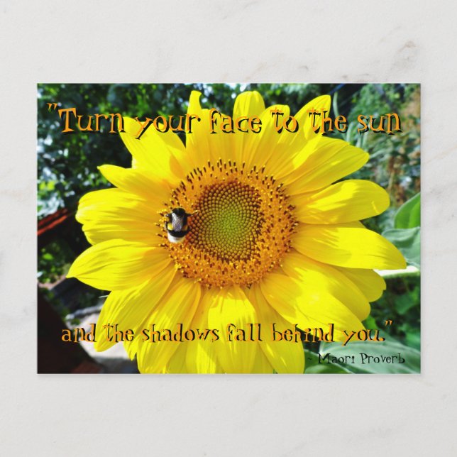 Sunflower inspirational postcard / Maori Proverb (Front)