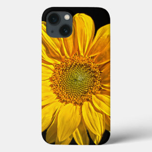 Sunflower iphcna iPhone 13 case