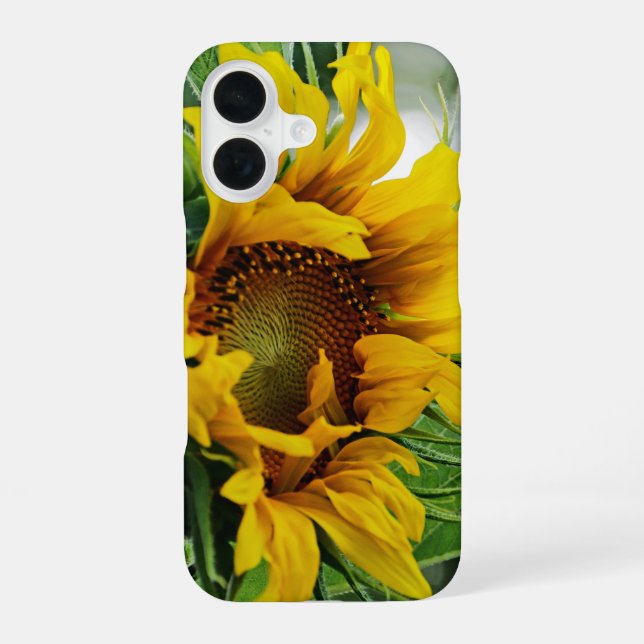 Sunflower iPhone 16 Case (Back)