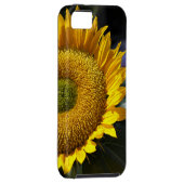 Sunflower iPhone 5 Case (Back/Right)