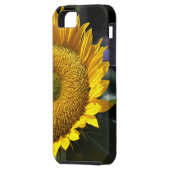Sunflower iPhone 5 Case (Back Left)