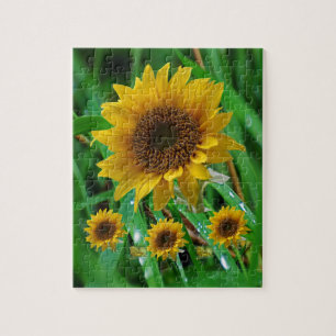 Sunflower Jigsaw Puzzle