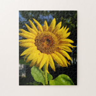 Sunflower Jigsaw Puzzle