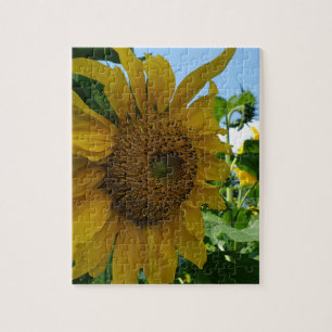 Sunflower Jigsaw Puzzle