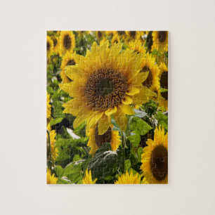 Sunflower Jigsaw Puzzle