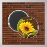 Sunflower Joy Round Magnet<br><div class="desc">This design from a digital photograph features a small sunflower in a patio garden raising its head and leaves,  in joyful exuberance. This design,  and others featuring sunflowers,  are available at Elizabeth Ann Roy's Zazzle store,  Elizabeth's Creative Pursuits under "Sunflower Joy."</div>