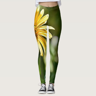 Sunflower Leggings