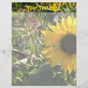 Sunflower Letterhead