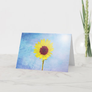 Sunflower Light 2 Scripture Card John 12:46