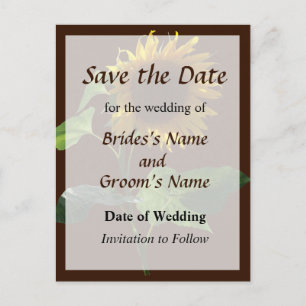 Sunflower Looking Down Save the Date Announcement Postcard
