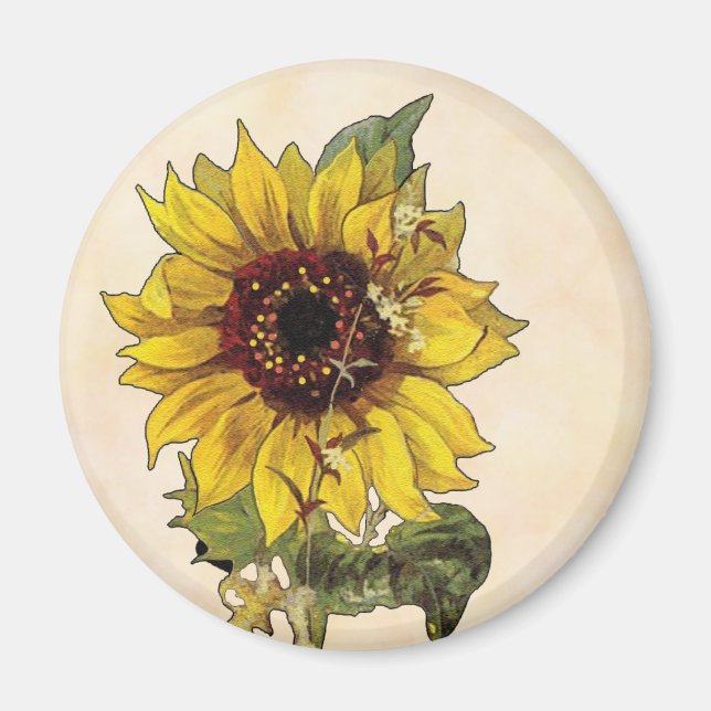 Sunflower Magnet (Front)