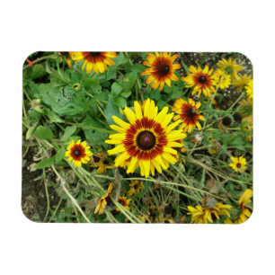 Sunflower magnet