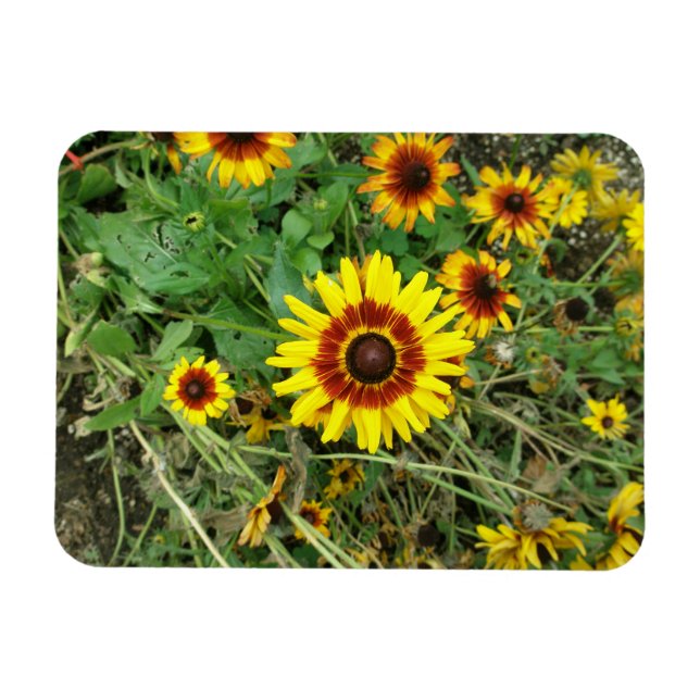 Sunflower magnet (Horizontal)