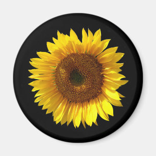 Sunflower Magnet