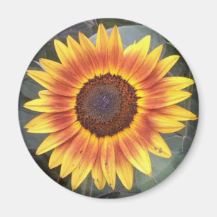 Sunflower Magnet