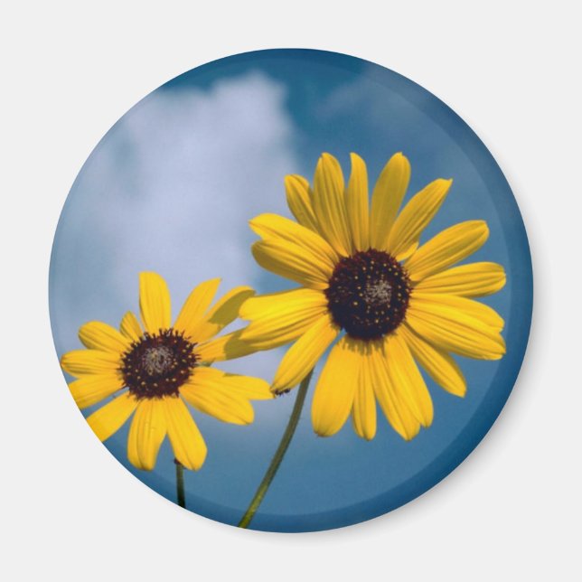 Sunflower Magnet (Front)