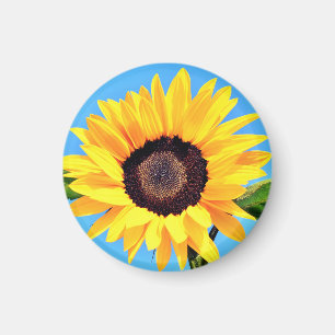 Sunflower Magnet