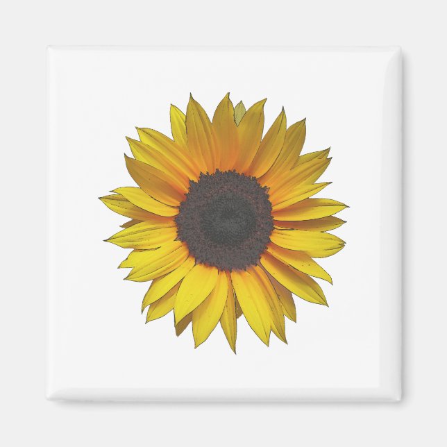 Sunflower Magnet (Front)