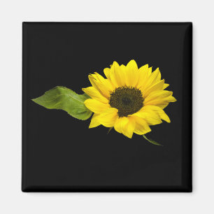 sunflower magnet