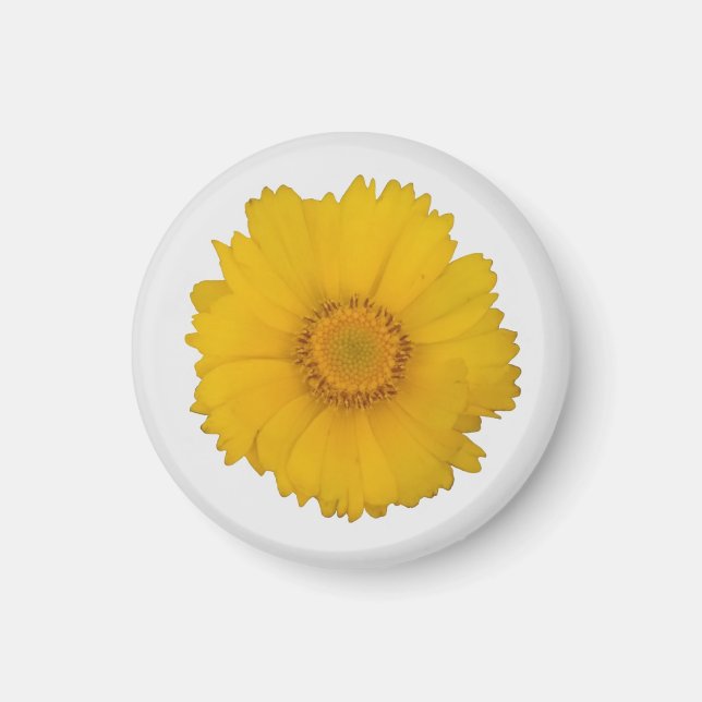 Sunflower Magnet (Front)