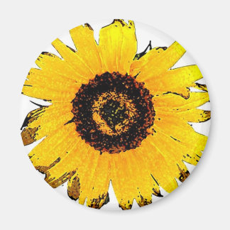 sunflower magnet