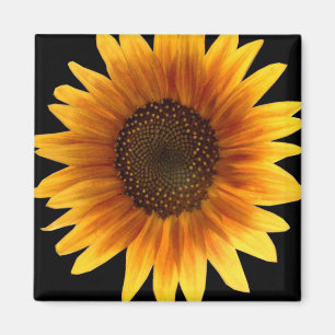 Sunflower magnet