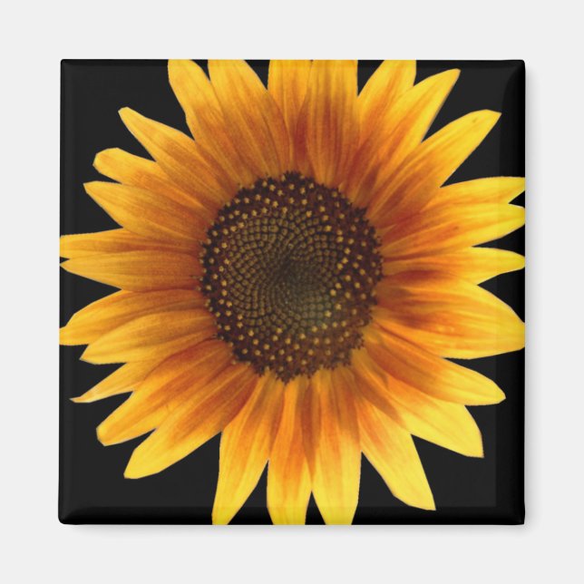 Sunflower magnet (Front)