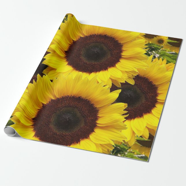 Sunflower Matte Wrapping Paper (Unrolled)