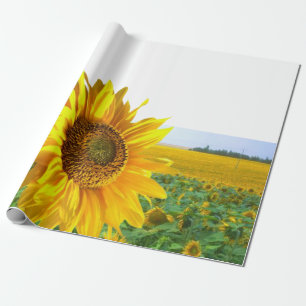 Sunflower Matte Wrapping Paper