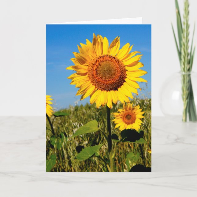 Sunflower Mother's Day Bible Quote Christian Thank You Card (Front)
