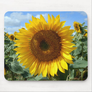 Sunflower Mouse Mat