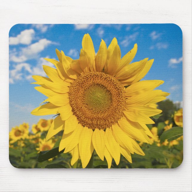 Sunflower Mouse Mat (Front)