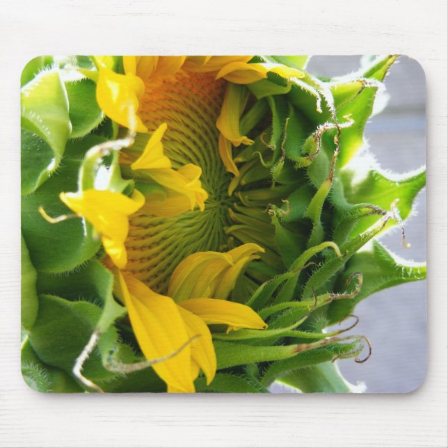 Sunflower Mouse Mat (Front)