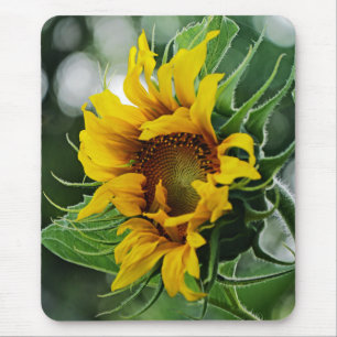 Sunflower Mouse Mat