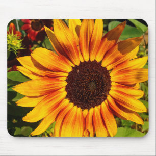 Sunflower Mouse Mat