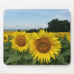 Sunflower Mousepad