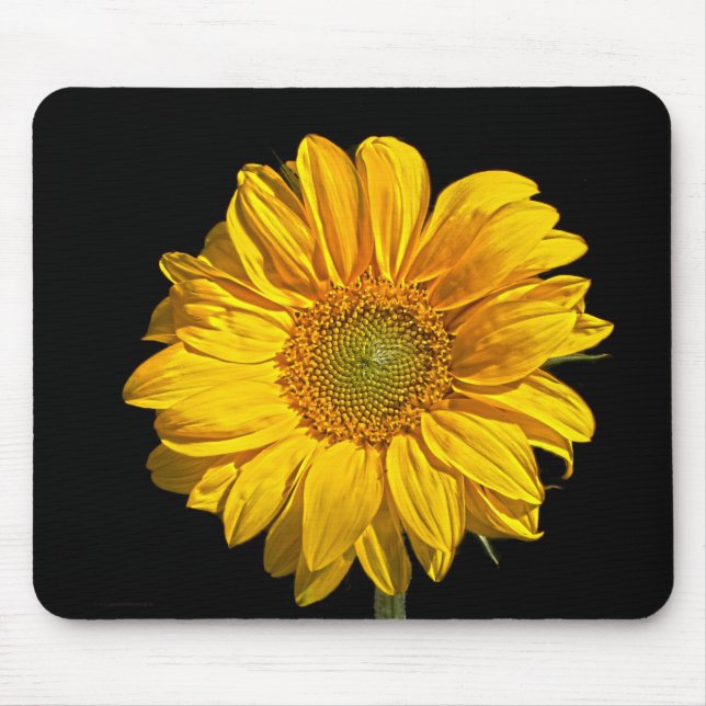 Sunflower mpcnm mouse mat (Front)