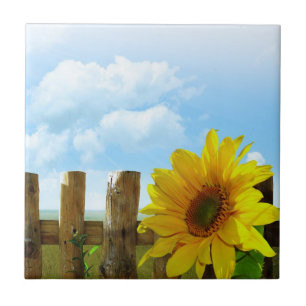 Sunflower Nature Beauty Tile