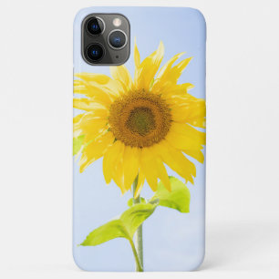 Sunflower Nature Photo iPhone 11 Pro Max Case