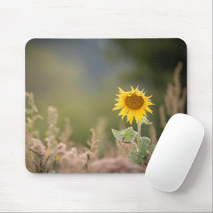 Sunflower Nature Photo Mouse Mat