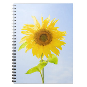 Sunflower Nature Photo Notebook