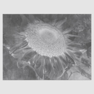 Sunflower Negative Black And White Vintage Antique Tissue Paper